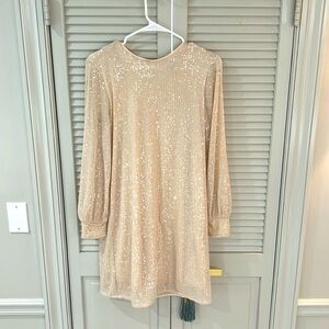 H&M long sleeved sequin mini dress